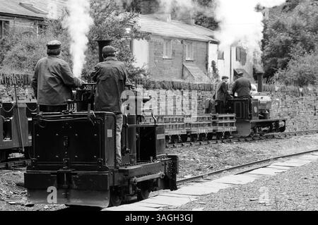 'Hugh Napier' sullo sfondo, passa 'Chaloner' a Felin Fawr. Foto Stock