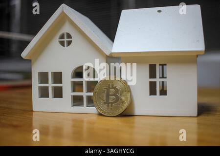 bitcoin e stato reale sono due opzioni da investire Foto Stock