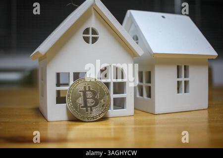 bitcoin e stato reale per accumulare ricchezza Foto Stock