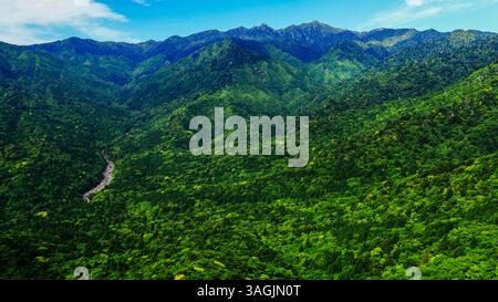 Vista spettacolare della cima più alta di Kyushu, Miyanoura-dake e della foresta vergine dall'isola di Yakushima Taikorock, prefettura di Kagoshima, Giappone Foto Stock