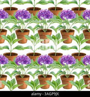 Schema ortensie in vaso. Fiori viola acquerello in vasi di fiori isolati su sfondo bianco. Ottimo per cartoline, inviti, biglietti d'auguri Foto Stock