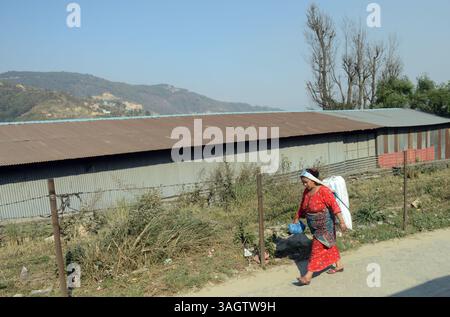 Una donna nepalese che porta un grande cesto sulla schiena. Foto scattata vicino a Pokhara, Nepal. Foto Stock