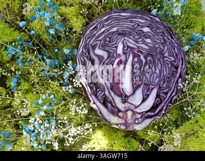 Cavoli rossi su sfondo verde naturale con muschio decorato con fiori. Foto Stock