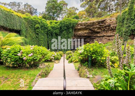 Umpherston Sinkhole Cave Gardens, vista dal parco in fondo al monte Gambier, Limestone Coast, Australia meridionale Foto Stock