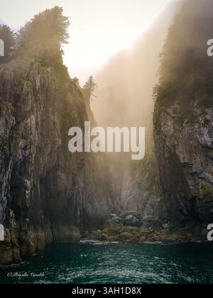 Luce solare gialla che illumina un canyon nebbioso e nebbioso nel Parco nazionale dei fiordi Kenai a Seward, Alaska, durante l'estate Foto Stock