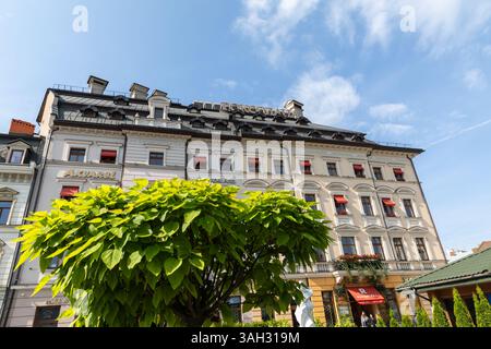 LEOPOLI, UCRAINA - 20 giugno 2021: I turisti passeggiano per l'area storica, ammirando la splendida architettura e le vivaci strade. Il sole splende luminoso sugli edifici e su un albero lussureggiante nelle vicinanze. Foto Stock