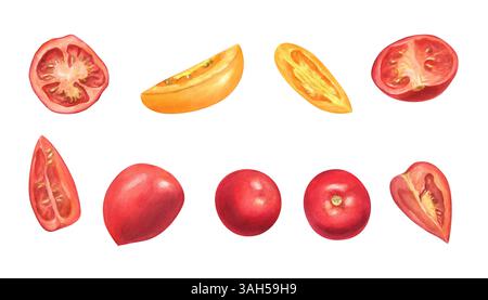 Pomodori rossi e gialli freschi sfondo isolato per illustrazioni ad acquerello clip art. Intere, metà e fette di verdure estive da orto. Per la fattoria Foto Stock