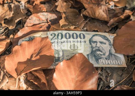 I soldi dell'Ungheria. 2000 mila fiorini ungheresi giacciono tra foglie secche cadute. Concetto di business finanziario. Situazione economica dell'Ungheria, primo piano Foto Stock