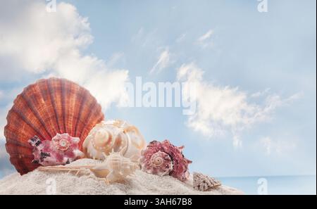 Conchiglie di mare sulla sabbia sulla spiaggia con cielo blu e sfondo marino. Il sole e l'estate, il relax estivo e la bellezza del mondo marino. Foto Stock