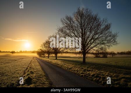Alba con cielo limpido su una strada rettilinea. Paesaggio rurale con nebbia e alberi primaverili nel Norfolk, Inghilterra Foto Stock
