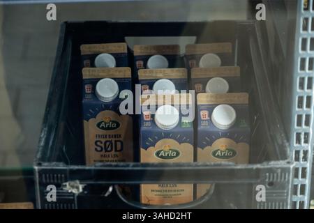 Copenaghen, Danimarca. 09 aprile 2025. In questa immagine, il latte intero di Arla è visto in uno stallo del supermercato scontato netto. ARLA Whole Milk è un marchio danese di latte di proprietà di Arla Foods. ARLA e la società tedesca DMK Group mirano a una fusione. (Foto di Kristian Tuxen Ladegaard Berg/SOPA Images/Sipa USA) credito: SIPA USA/Alamy Live News Foto Stock
