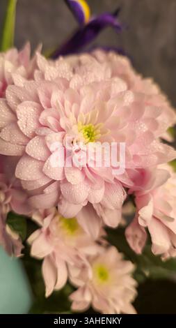 Un bel bouquet di fiori diversi. Festa della mamma, compleanno. Copia spazio Foto Stock