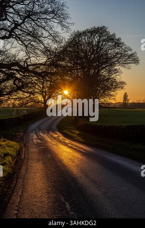 Guardando lungo una strada di campagna nel Sussex rurale, con il sole che tramonta alle spalle Foto Stock