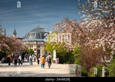 Francia, Parigi, Chatelet, Forum les Halles, Saint-Eustache, Place Carree, Nelson Mandela Garden e Bourse in primavera Foto Stock