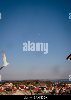 Un gabbiano solitario si libra graziosamente attraverso il cielo azzurro e le sue ali si spalancano sullo sfondo di una luna luminosa e prominente. L'atmosfera serena Foto Stock