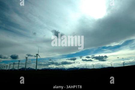 31 gennaio 2004 - Lethbridge, Alberta, Canada - mulini a vento per la produzione di energia elettrica alti 80 metri nei pressi di Pincher Creek. (Immagine di credito: © Larry MacDougal via ZUMA Wire) Foto Stock