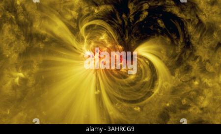 4 agosto 2017 - Space - pubblicato oggi: Il 5 luglio 2017, il Solar Dynamics Observatory della NASA ha osservato una regione attiva, un'area di campi magnetici intensi e complessi, ruotare in vista del Sole. Il satellite ha continuato a tracciare la regione mentre cresceva e alla fine ha ruotato attraverso il Sole e fuori vista il 17 luglio. Questa immagine mostra una vista mista della macchia solare in luce ultravioletta visibile ed estrema, rivelando bobine luminose che scendono sopra la regione attiva, particelle che spirano lungo le linee del campo magnetico. (Immagine di credito: © NASA Goddard/SDO/ZUMA Wire/ZUMAPRESS.com) Foto Stock