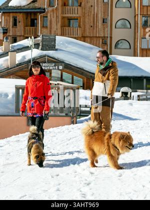 Cani da passeggio a Belle Plagne in Francia Foto Stock