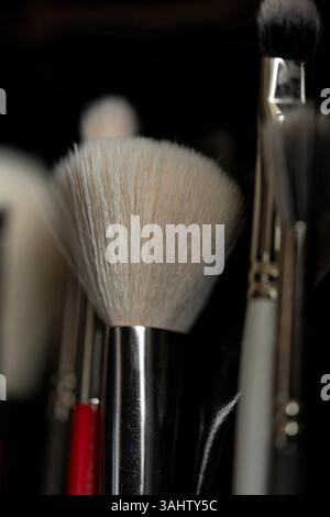 Immagine di alta qualità con una collezione di pennelli per il trucco, disposti in modo ordinato su una superficie pulita Foto Stock
