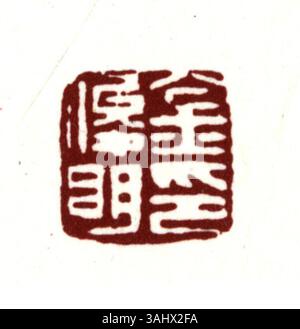 Un sigillo cinese semplificato, comunemente usato nell'arte e nella cultura cinese, per significare autenticità e proprietà, con una calligrafia dettagliata. Foto Stock