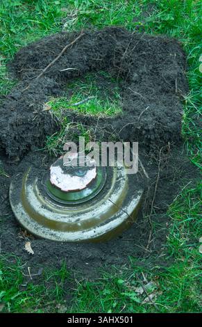 Miniera anticarro verde sull'erba nel terreno. Bomba TM-62. Pericolo in natura Ucraina Foto Stock