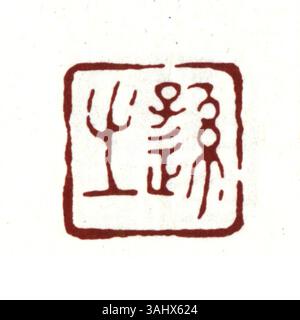 Un sigillo in cinese semplificato, che illustra il carattere "5". Il sigillo esemplifica l'arte tradizionale della scultura e della calligrafia delle foche cinesi, profondamente radicata nella cultura cinese. Foto Stock