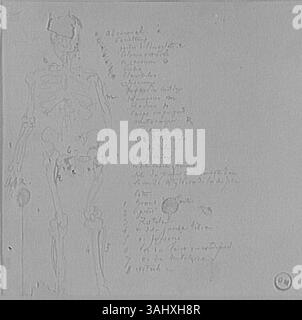 Lo studio di Gustave Moreau su uno scheletro umano dal punto di vista frontale esamina la struttura e l'anatomia del corpo umano, concentrandosi sui dettagli scheletrici. Questa opera, creata tra il 1850 e il 1895, è ospitata nel Musée Gustave Moreau. Foto Stock