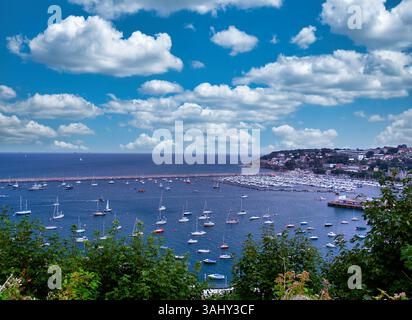 Porto turistico di Brixham e porto esterno di Torbay pieno di barche di tutte le forme e dimensioni. Foto Stock