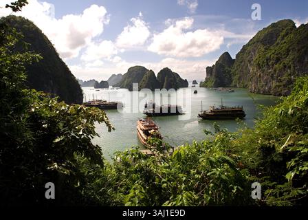 22 luglio 2008 - Vietnam - navi che navigano nella baia di ha Long vicino alla grotta di Hang Sung Sot. Un arrampicatore indica le scogliere calcaree nella baia di ha Long, in Vietnam. Giunchi nella baia di ha Long nel Vietnam visti dall'ingresso della grotta di Hang Sung Sot. La baia di ha Long ha migliaia di formazioni calcaree in salita. (Immagine di credito: © Sergi Reboredo via ZUMA Wire) Foto Stock