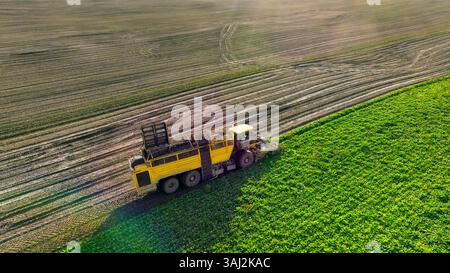 Mietitrice agricola gialla in un campo verde e marrone. Una trebbiatrice agricola, verniciata di giallo brillante, viene catturata dall'alto mentre si muove Foto Stock