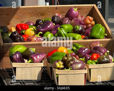 Un'esposizione rustica di peperoni freschi e multicolori in casse di legno in un mercato agricolo, perfetta per prodotti biologici, alimentazione sana, temi agricoli Foto Stock