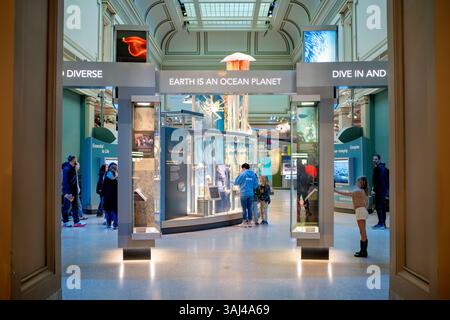 WASHINGTON DC - la Sant Ocean Hall dello Smithsonian National Museum of Natural History ospita una mostra completa di vita marina ed ecosistemi. Inaugurata nel 2008, questa galleria di 000 metri quadrati è la più grande mostra permanente del museo, contenente oltre 600 esemplari e modelli. La sala è ancorata a un modello a grandezza naturale di Phoenix, una balena destra del Nord Atlantico, e include un raro esemplare di calamari giganti, rendendolo una destinazione privilegiata per l'educazione e l'esplorazione oceanica. Foto Stock