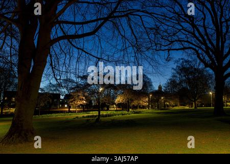 I ciliegi primaverili nel parco dei popoli all'alba. Banbury, Oxfordshire, Inghilterra Foto Stock