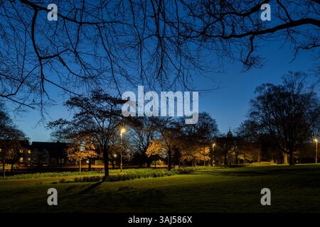 I ciliegi primaverili nel parco dei popoli all'alba. Banbury, Oxfordshire, Inghilterra Foto Stock