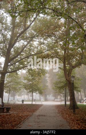 La nebbia copre lentamente gli alberi e le panchine di un parco cittadino durante una nebbiosa giornata autunnale. Lubiana, Slovenia Foto Stock