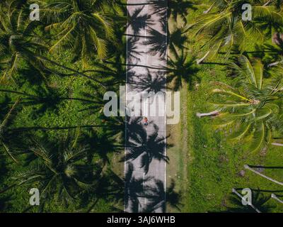 Vista aerea mozzafiato che mostra la bellezza naturale e i paesaggi unici delle Filippine, catturati con un drone per una prospettiva mozzafiato Foto Stock
