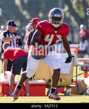 8 agosto 2017 - il running back dei Tampa Bay Buccaneers Peyton Barber (43) fa esercitazioni al training camp di Tampa, Florida, USA. Del Mecum/CSM(immagine di credito: &Copy; del Mecum/CSM tramite filo ZUMA) Foto Stock