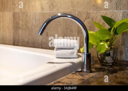 In un bagno accogliente, un rubinetto moderno si trova accanto a morbidi asciugamani impilati ordinatamente e a una piccola pianta verde, creando un'atmosfera tranquilla e invitante per il re Foto Stock