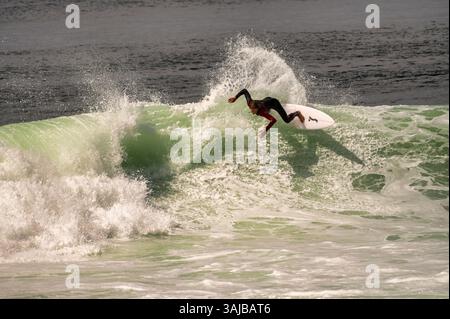 Surfista cavalcando un'onda al Reef spot di Pedra Branca Beach, Ericeira, parte della World Surfing Reserve in Portogallo Foto Stock