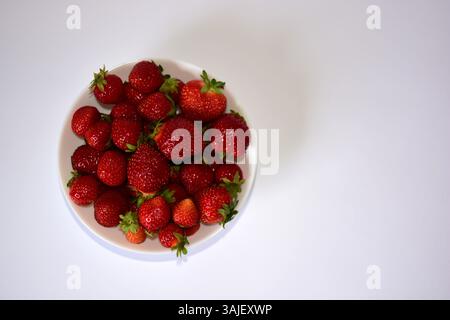 Ciotola di fragole fresche su sfondo bianco dall'alto. Ciotola completa di fragole rosse succose. Foto Stock