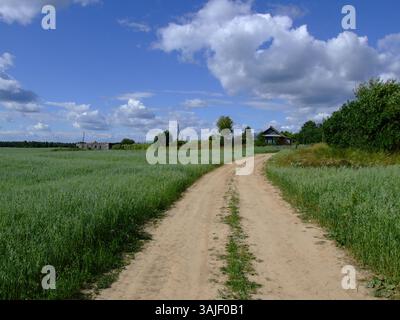 Una strada sterrata rurale conduce a un tranquillo villaggio russo. Ci sono campi infiniti in giro. L'erba alta cresce su entrambi i lati della strada, creando un'atmosfera suggestiva Foto Stock
