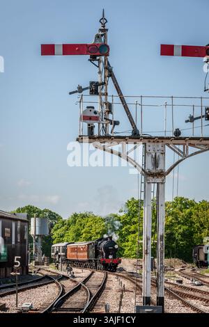 BR 'Q' classe 0-6-0 No. 30541 si avvicina a Horsted Keynes sulla Bluebell Railway, East Sussex, Inghilterra, Regno Unito Foto Stock