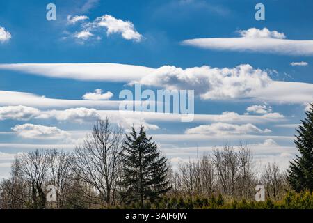 Soffici nuvole bianche si estendono in formazioni parallele attraverso un cielo blu vibrante, creando un incantevole contrasto con le sagome degli alberi sottostanti. Si Foto Stock