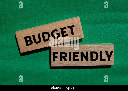 Messaggio economico scritto su blocchi di legno su sfondo verde. Simbolo di budget concettuale. Copia spazio. Foto Stock