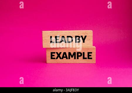 Guida con un messaggio di esempio scritto su blocchi di legno su sfondo rosa. Guida concettuale con simbolo di esempio. Copia spazio. Foto Stock