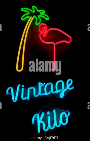 Insegna al neon: palma, fenicottero, "Kilo d'epoca" su sfondo nero Foto Stock