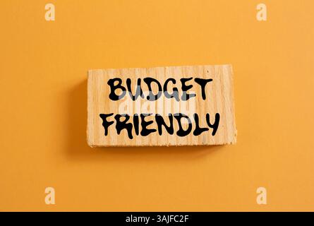 Messaggio economico scritto su un pezzo di legno su sfondo arancione. Simbolo di budget concettuale. Copia spazio. Foto Stock