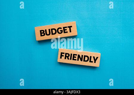 Messaggio economico scritto su blocchi di legno su sfondo blu. Simbolo di budget concettuale. Copia spazio. Foto Stock