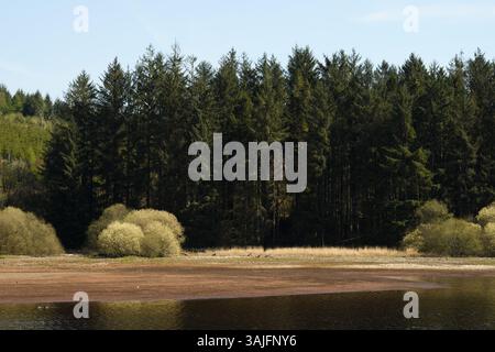 Llwyn Onn Reservation, Merthyr Tydfil, Galles del Sud, Regno Unito. 11 aprile 2025. Meteo nel Regno Unito: Pomeriggio caldo con livelli dell'acqua leggermente inferiori. Crediti: Andrew Bartlett/Alamy Live News Foto Stock