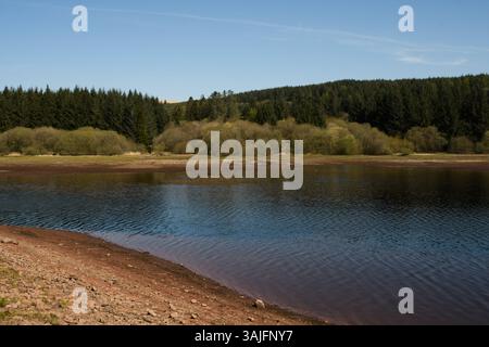 Llwyn Onn Reservation, Merthyr Tydfil, Galles del Sud, Regno Unito. 11 aprile 2025. Meteo nel Regno Unito: Pomeriggio caldo con livelli dell'acqua leggermente inferiori. Crediti: Andrew Bartlett/Alamy Live News Foto Stock